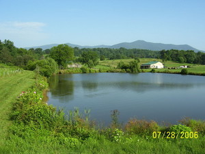 Mountain Run Farm