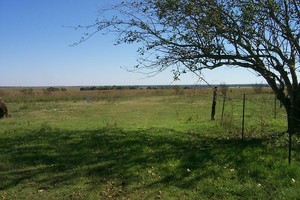 St Brigid's Gate Farm