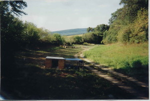 Mt. View Poultry Farm