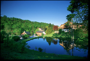 Glasbern