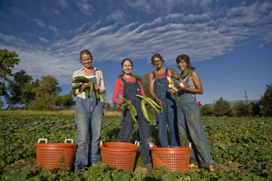 Cure Organic Farm