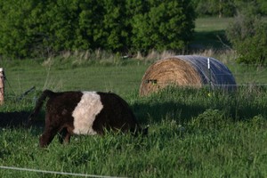 Hollister Family Farm