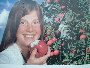 Pick- an - Apple Farm