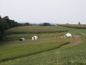 Happy Farm