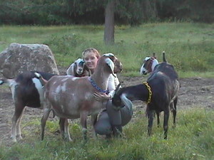 Grace Acres Farm