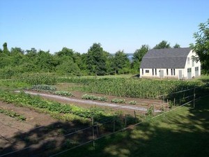 Stearns Farms Organic Produce