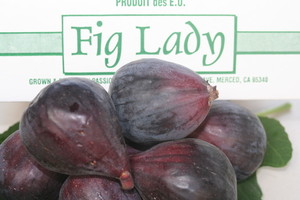 Passion Fruit Farms