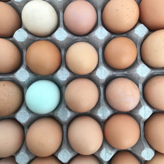 Whitefeather Organics LLC