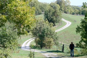 Serendipity Farm & Orchard, LLC