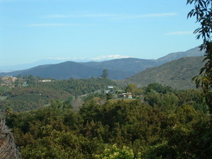 The Circle T Ranch