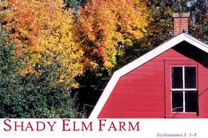 Shady Elm Farm