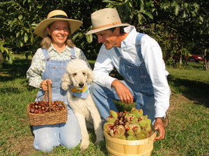 Chestnut Charlie's Organic Tree Crops