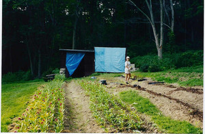 The Herbal Pantry