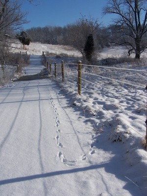 Evensong Farm