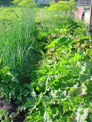 Fridley Creek Farm