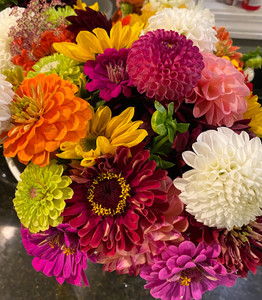 Peterson's Patch Flower Farm