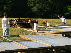 Forks Farm & Market LLC