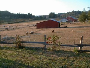 Spring Hill Farm