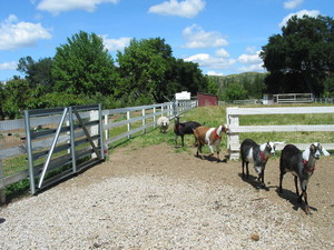 Gerhardt Family Farm