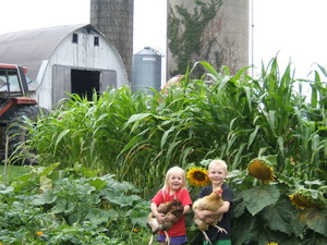 Plum Creek Farm