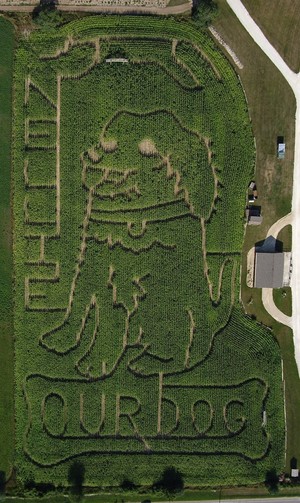 Homestead Animal Farm
