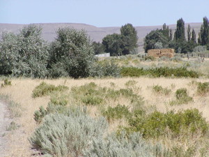 Silver Sage Ranch