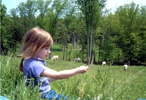 Rocky Meadow Farm