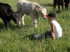 Buckingham Family Farms