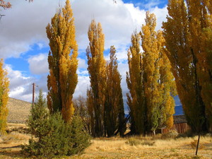 GirlFarm organics and botanicals