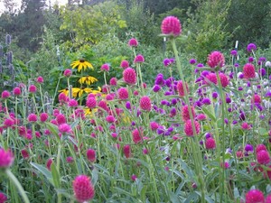 Flower Child Farms
