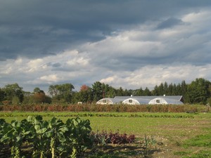 Katchkie Farm