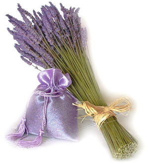 Blue Moon Lavender Farm
