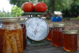 Hood's Hill Honey and Produce