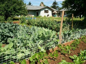 Rosemattel's CSA producer