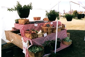 A&L Log Cabin Farm