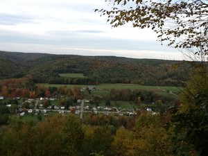 Riverview Farms