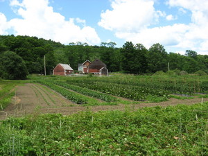 South Valley Farm