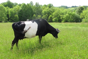 Well Fed Farm