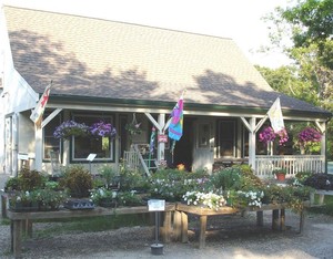 Coonamessett Farm
