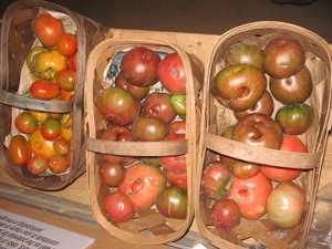 Firefly Farm