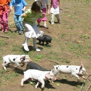 Manda Organic Farm