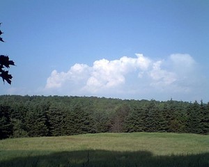 Burnap Brook Farm CSA