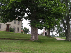 Chicoine Family Farm