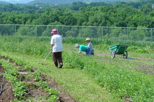 Harmony Farm