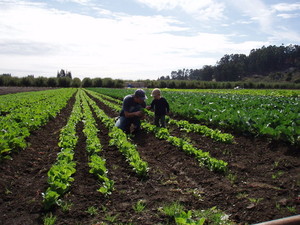 Ella Bella Farm