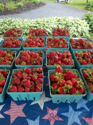 Ballston Spa Farmers Market