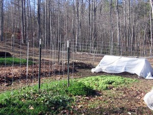 Four Season Farm