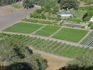 Windrose Farm
