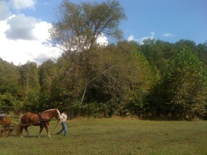 Black Mountain Ranch