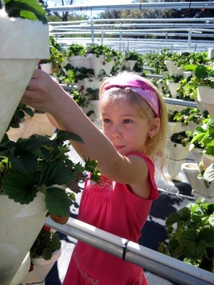 Hydro Harvest Farms